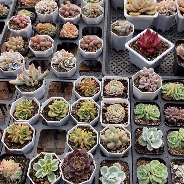 保温箱，低于零度去拍