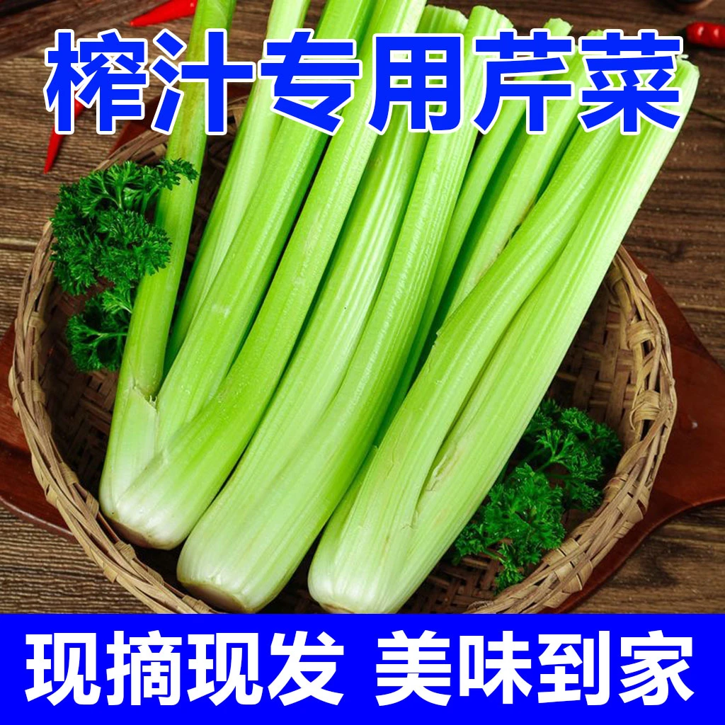 【当季】榨汁专用西芹水果芹菜河南新鲜脆嫩农家带叶优质绿色青菜