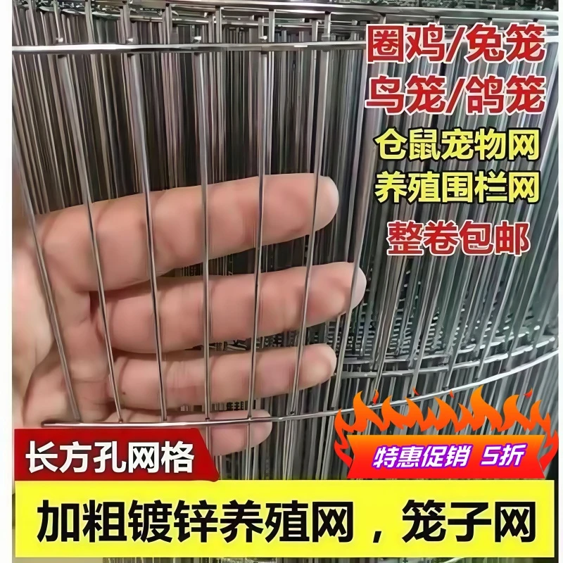 防锈网格长孔电焊网鸟笼子网围栏网鸽舍地网鸡兔笼子工艺优质耐用