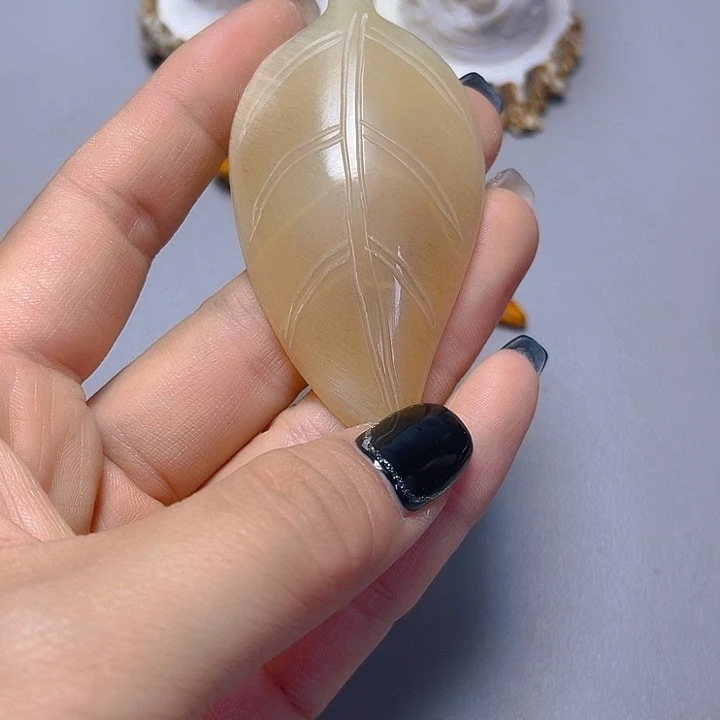 大果紫檀（缅甸花梨）