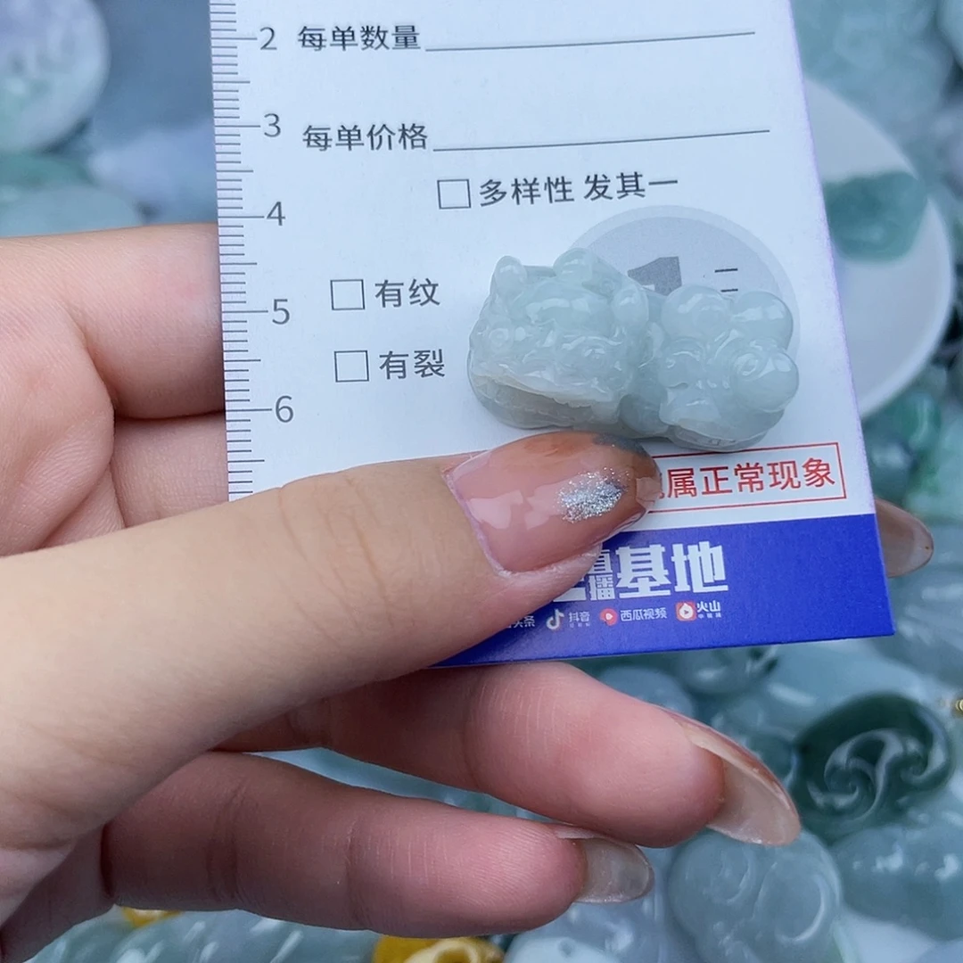 翡翠未镶嵌颈饰35