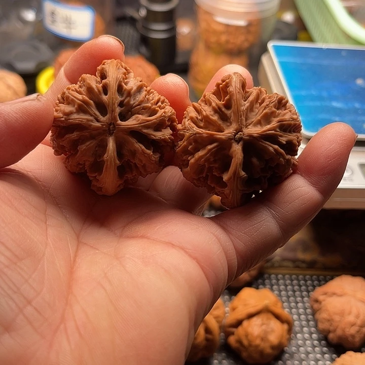 把件桃核九龙筋边42