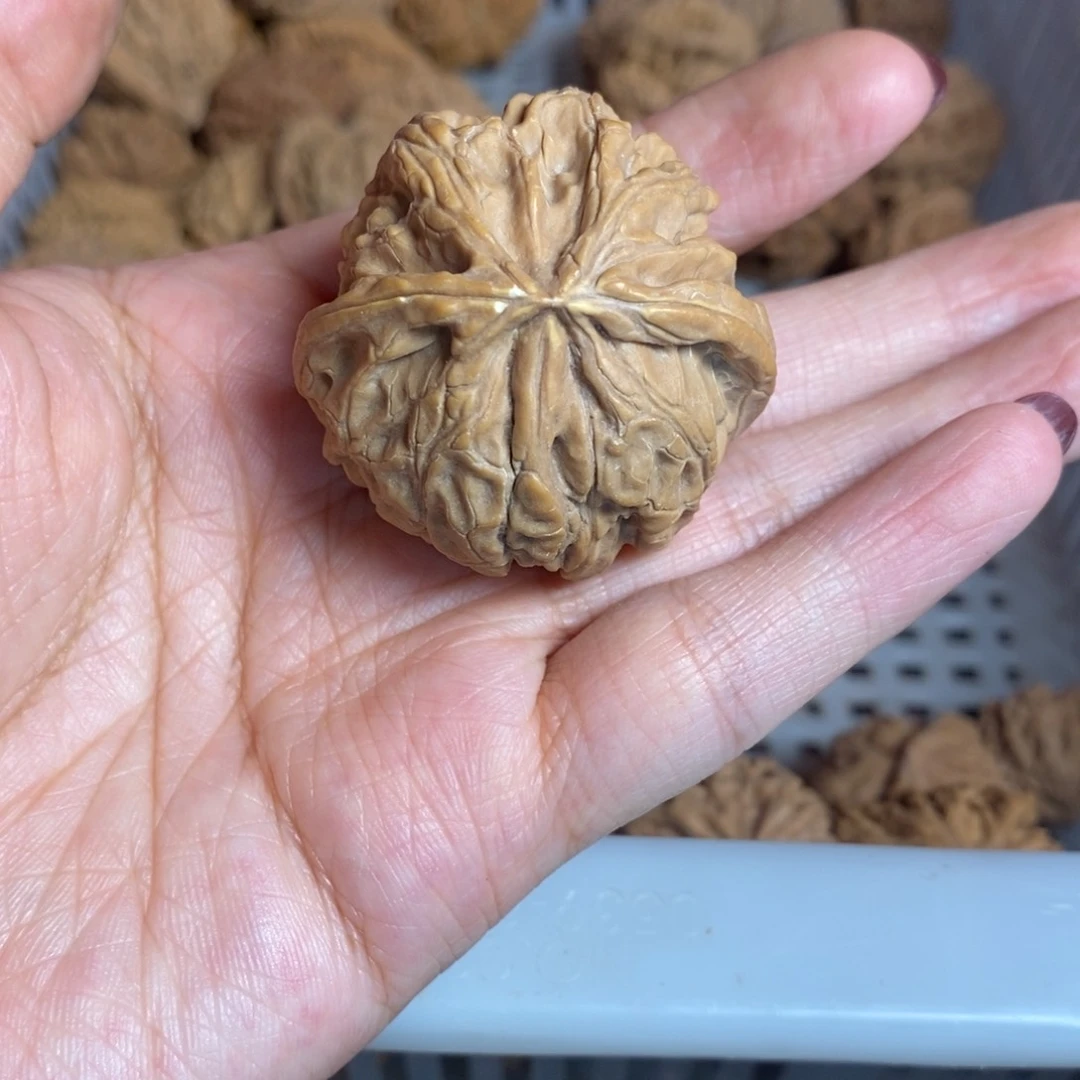 有***年文玩核桃把件文玩