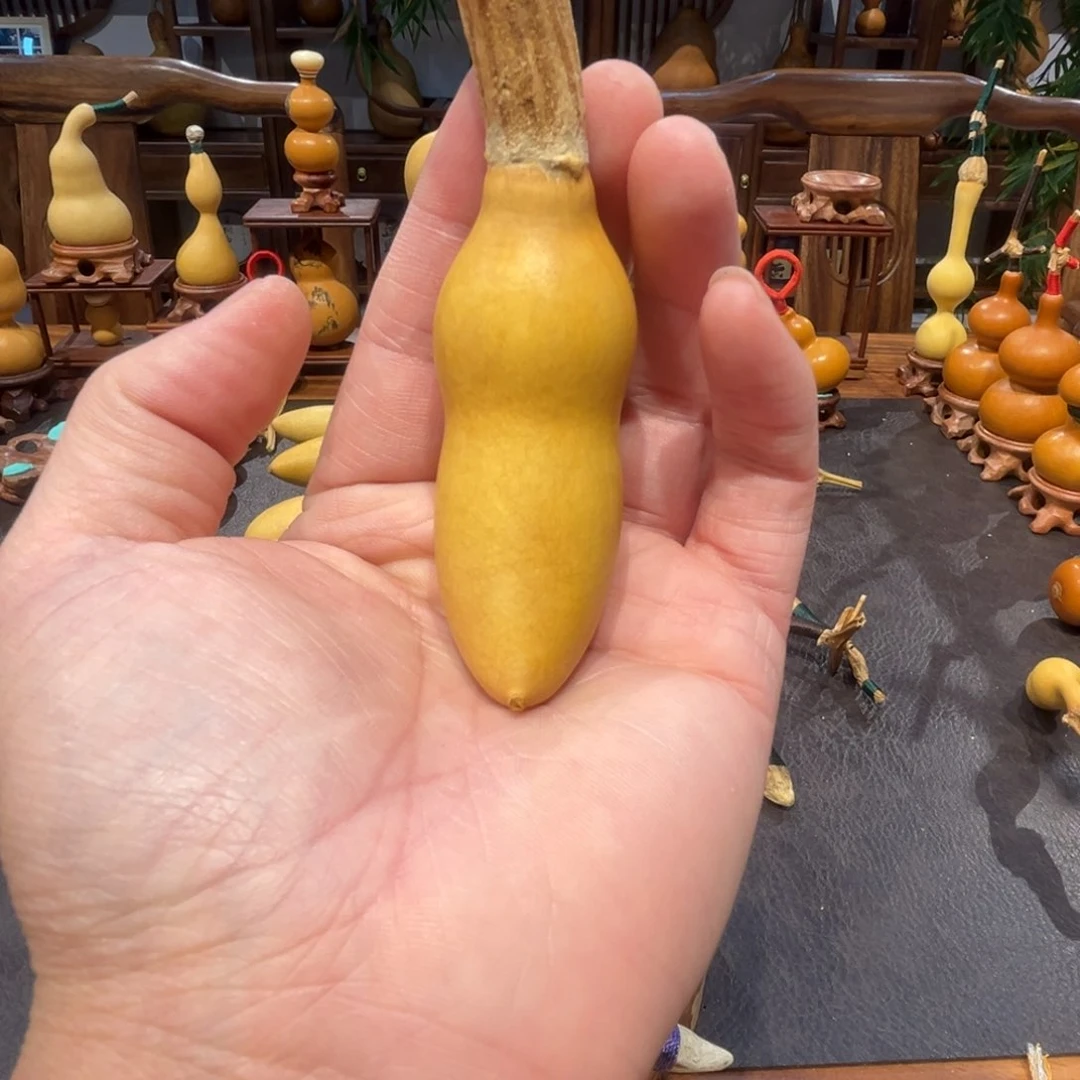 大*子重返校园的时候我