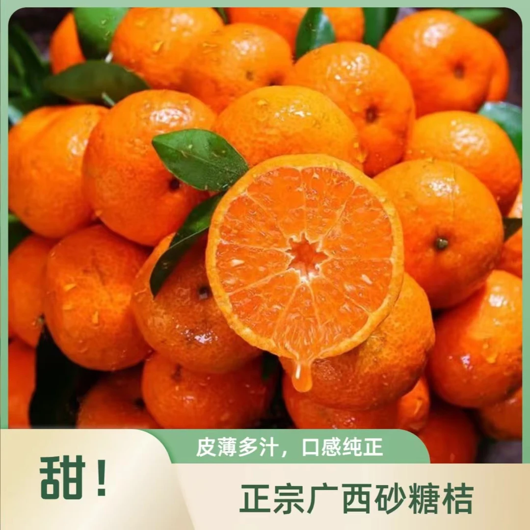 【产地直发】正宗广西金秋砂糖桔头茬鲜果皮薄肉厚香甜爆汁沙糖桔