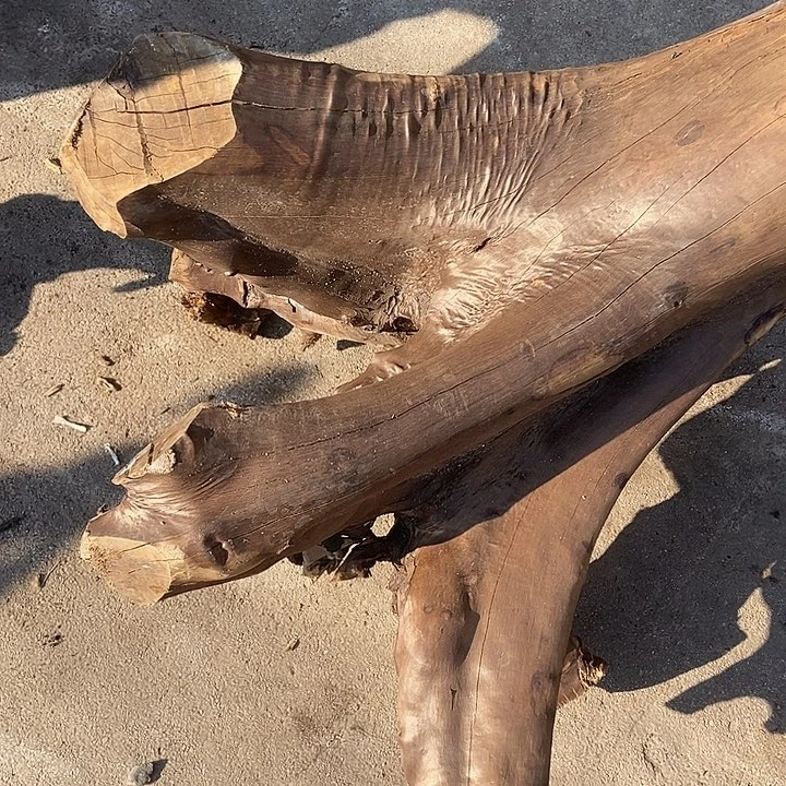 怪***鱼手串/手链楠木（金丝楠）