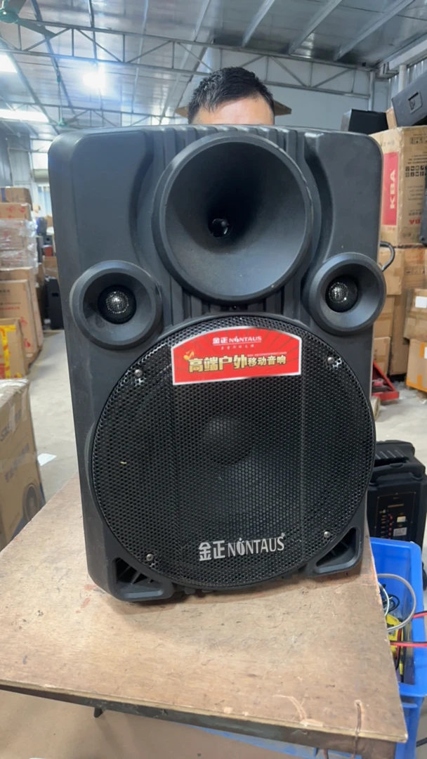 9新  12寸音响，电池不质保，裸机
