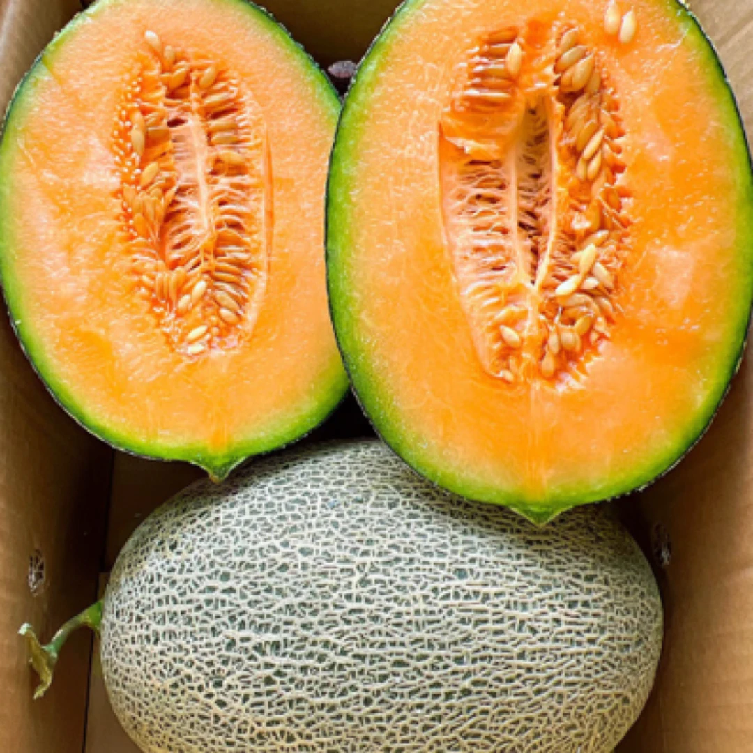 【佳果情甘极蜜①个3斤左右】酥脆甜，惊爆价秒杀