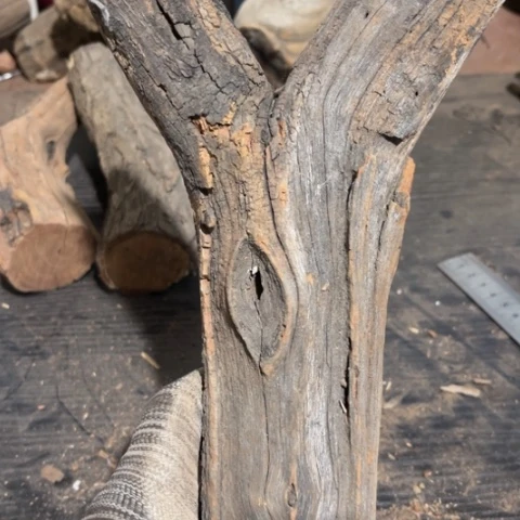 大果紫檀（缅甸花梨）凱*