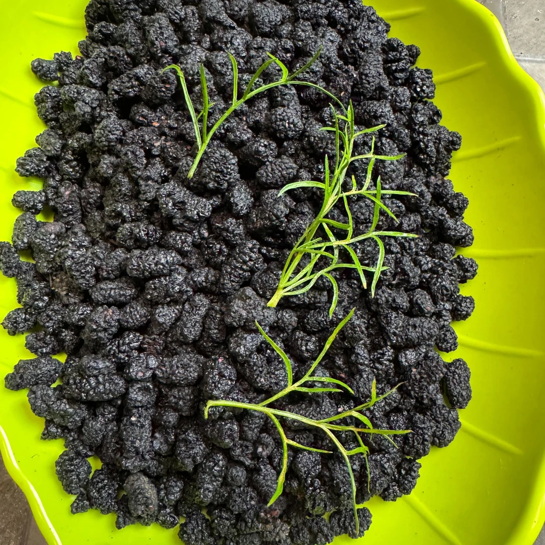 重庆特产农家桑葚干 无染色 可泡水可干吃