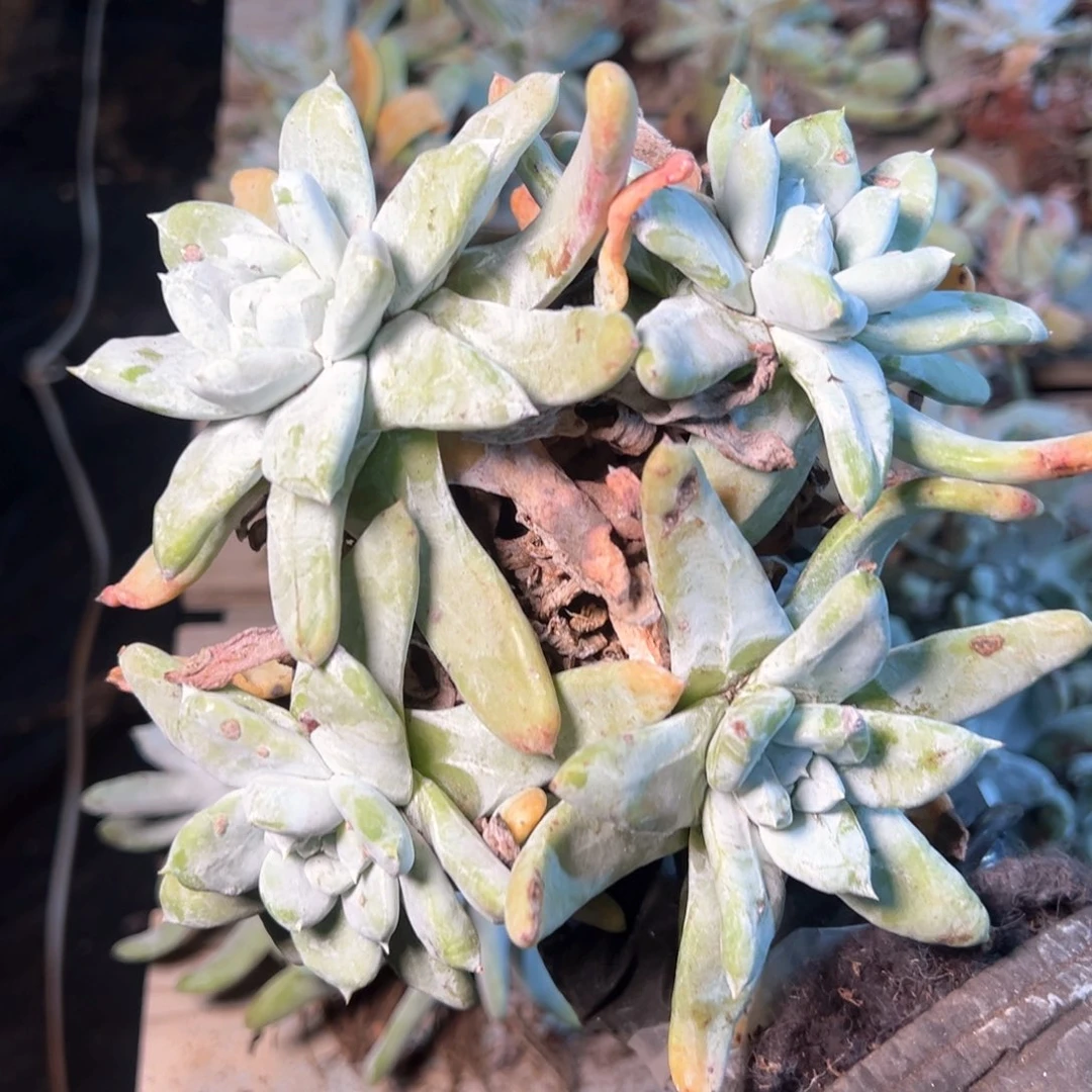 7629哈哈哈哈哈哈哈哈