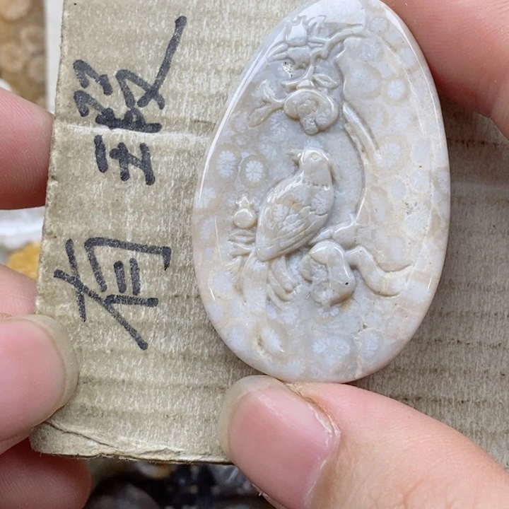 颈饰未镶嵌硅化珊瑚（珊瑚玉）A****y