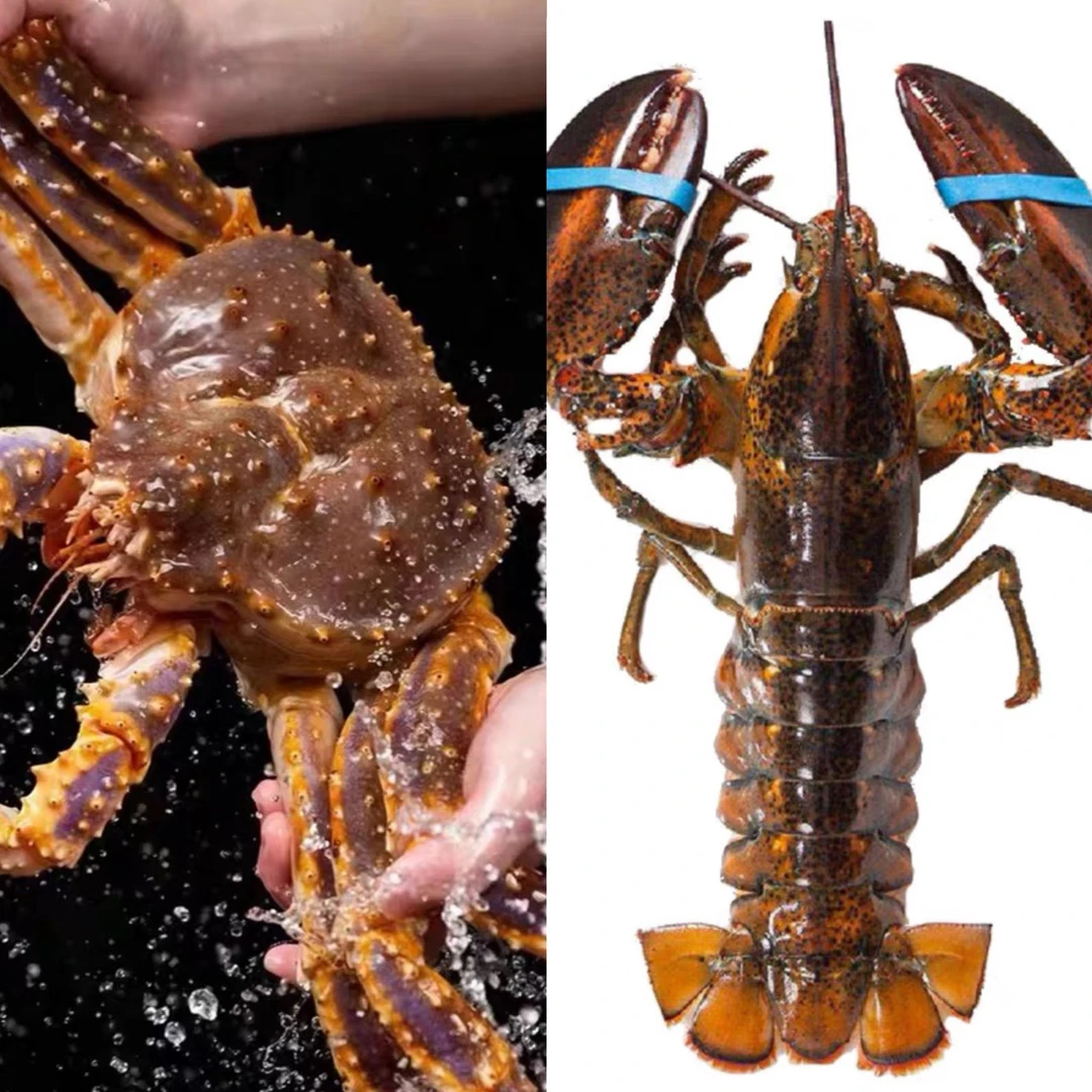 【海鲜盛宴】帝王蟹波龙组合大礼包（需要礼盒请备注）