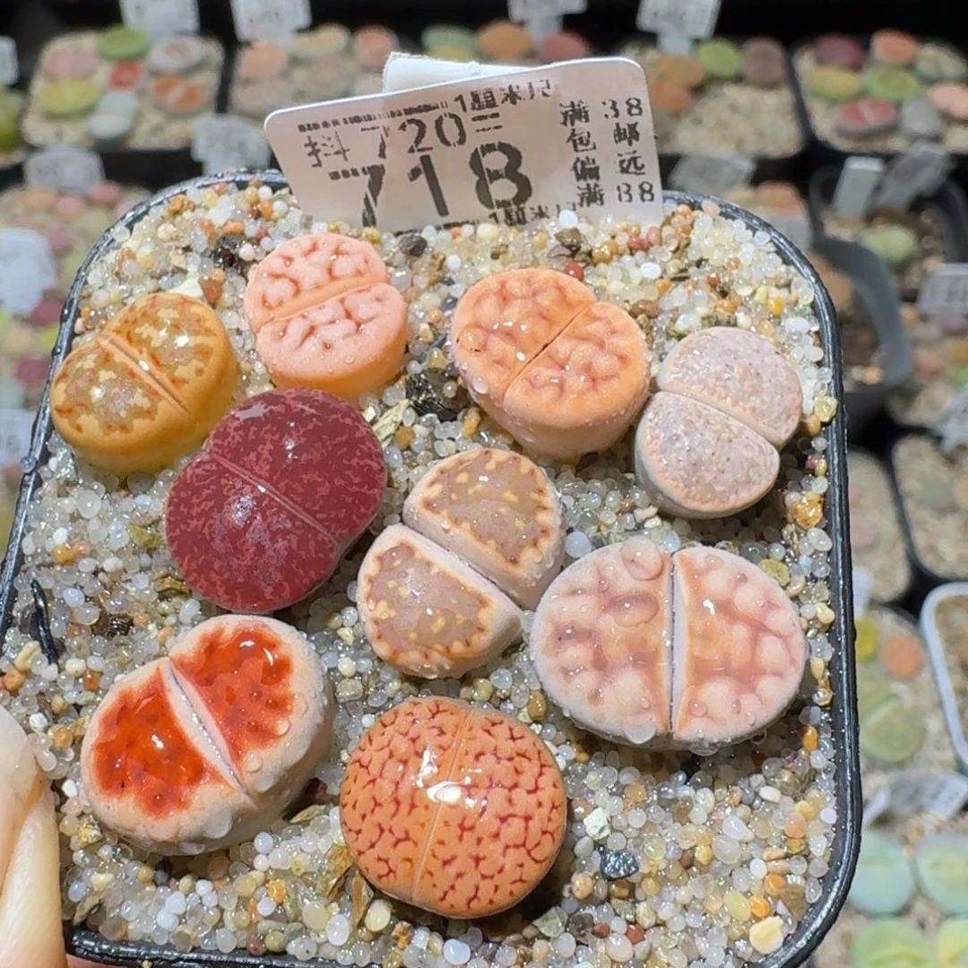 SSss精品清仓了718