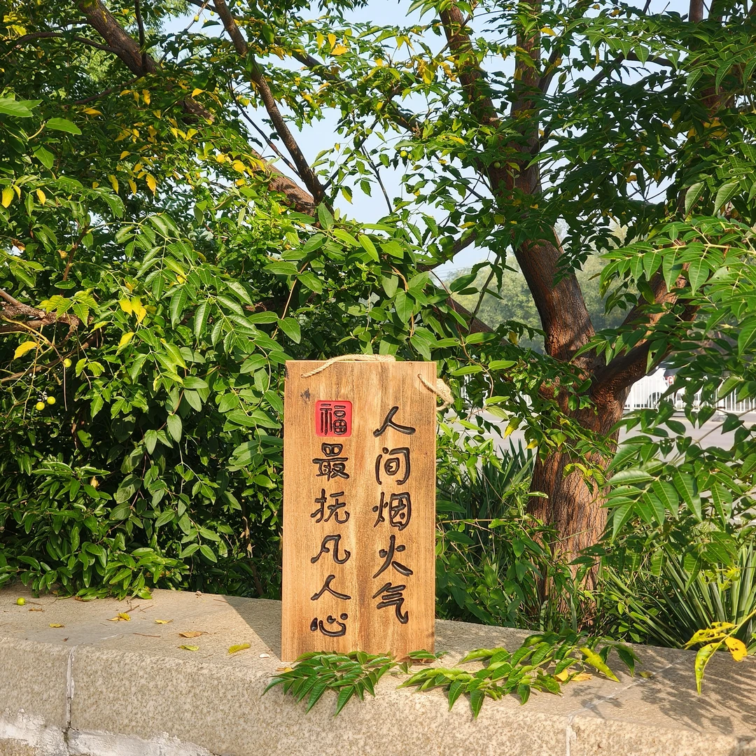 直播间一物一拍链接风化木板刻字挂匾茶室小院民宿字挂装饰挂匾