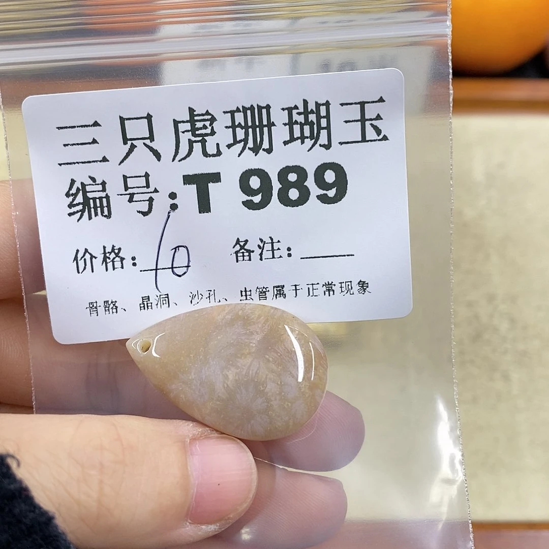 硅化珊瑚（珊瑚玉）1未镶嵌兔**乖