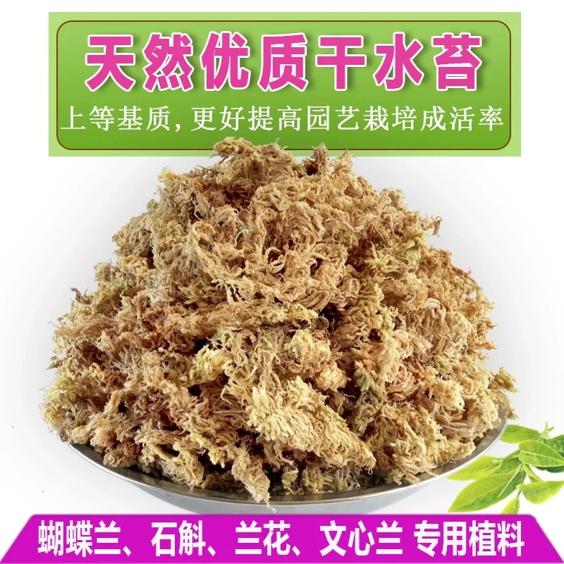 【618特价】优质天然干水苔兰花蝴蝶兰种植专用营养植料