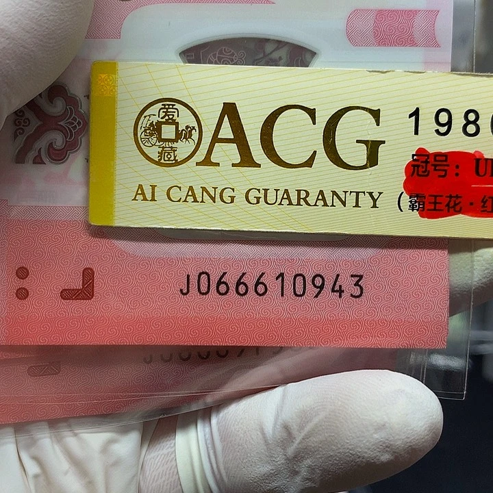 一张一张一张一张一张一张