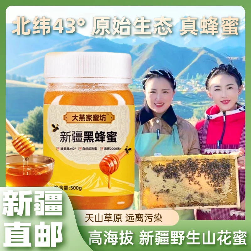 新疆伊犁黑蜂蜜自然成熟原蜜野山花蜜黑蜂蜜500克