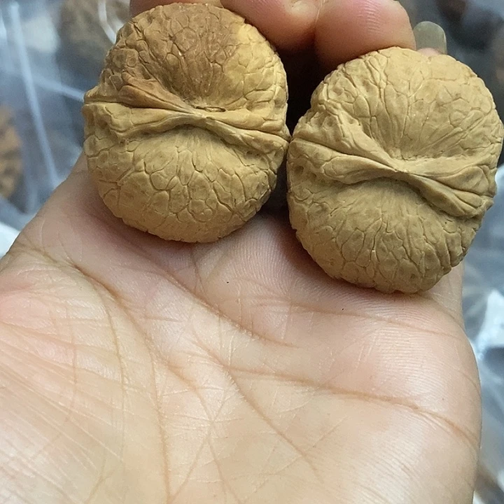 把件文玩核桃云南铁核桃基地12