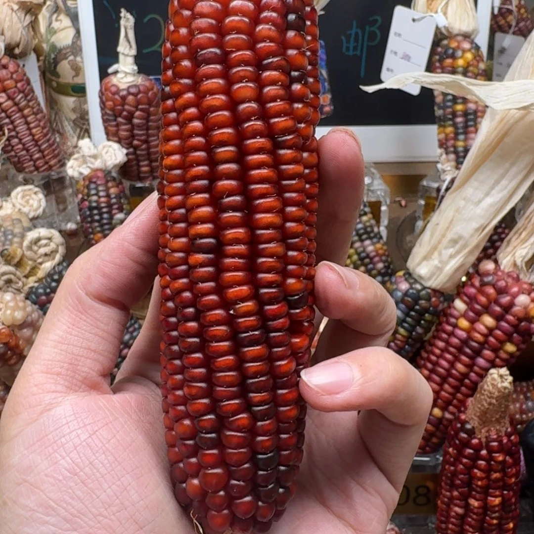 柏香籽/百香籽吊坠佩**姐