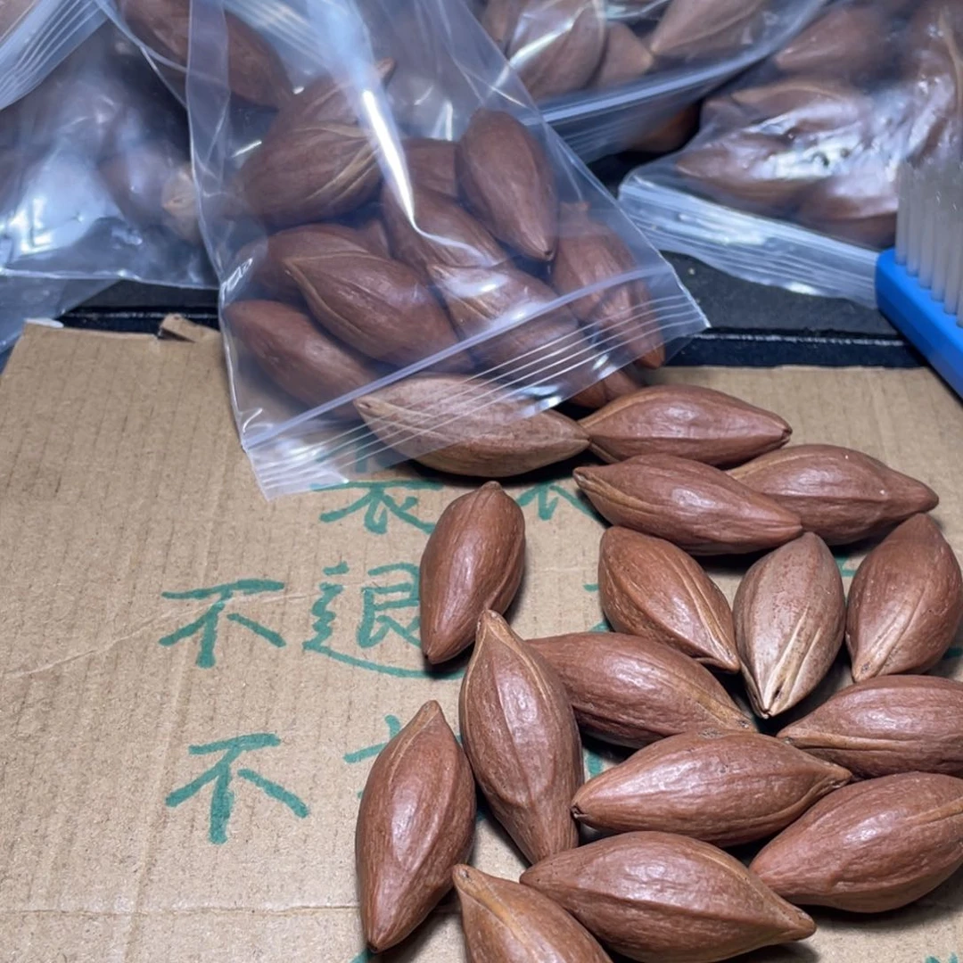 专****凯不退不换q er yu i