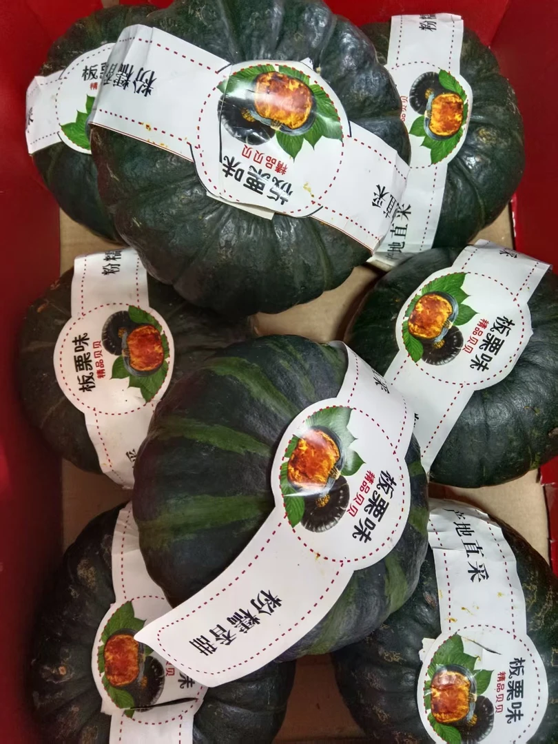 W8贝贝南瓜香甜细腻粉糯饱腹板栗味粗粮代餐超值批发价正品