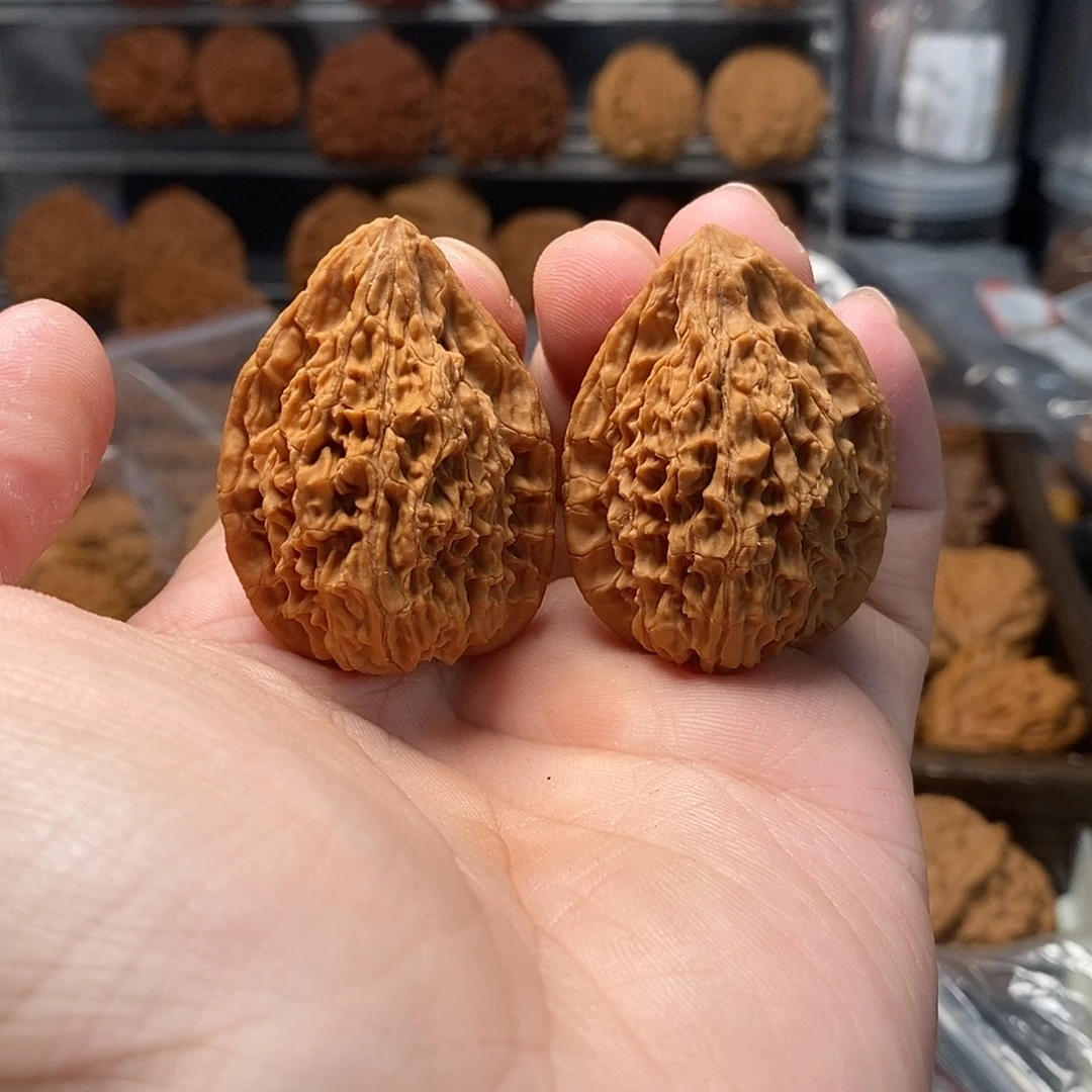 1文玩核桃鸭嘴兽32-252