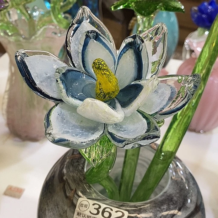 夜光花高45厘米宽10厘米