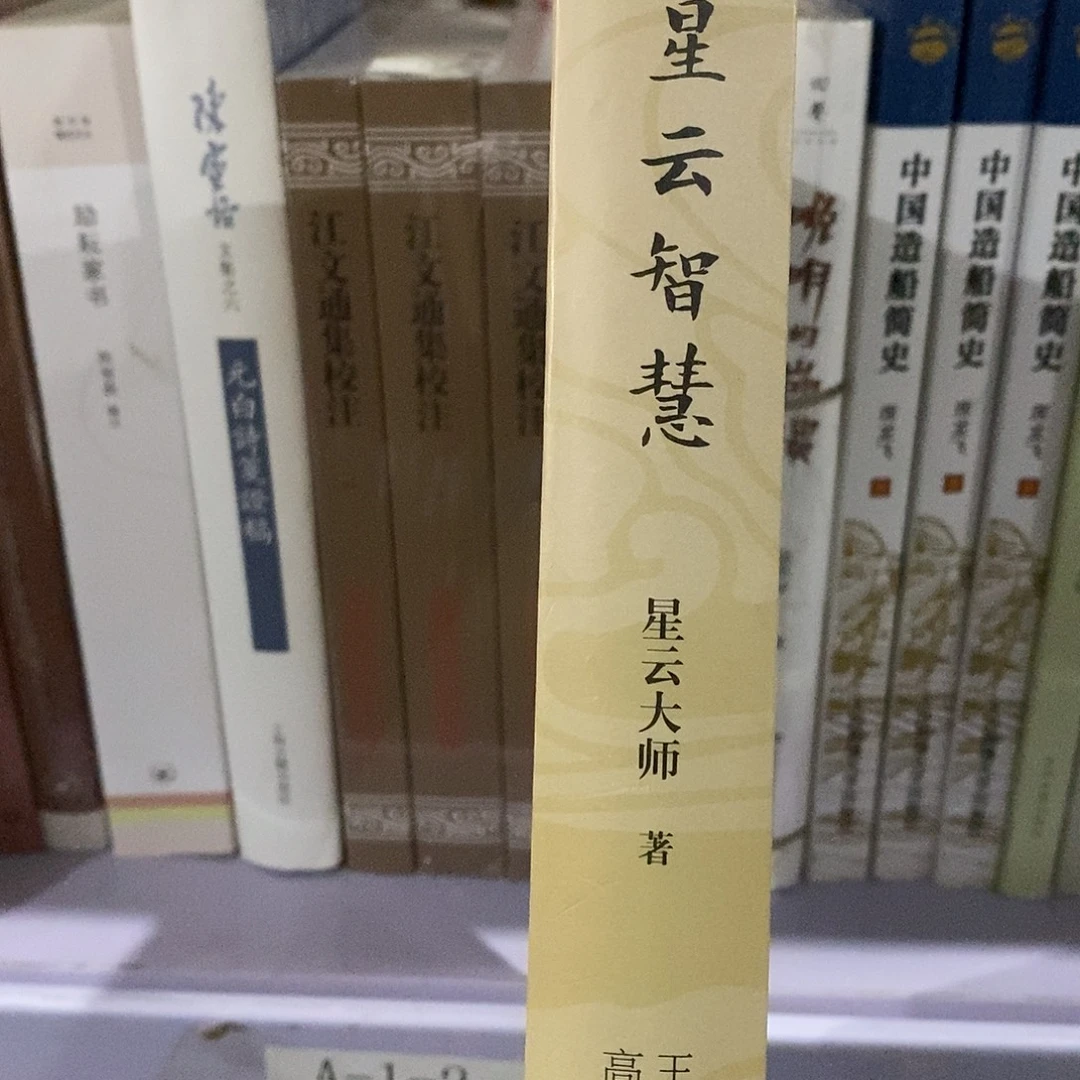 微瑕 星云智慧……
