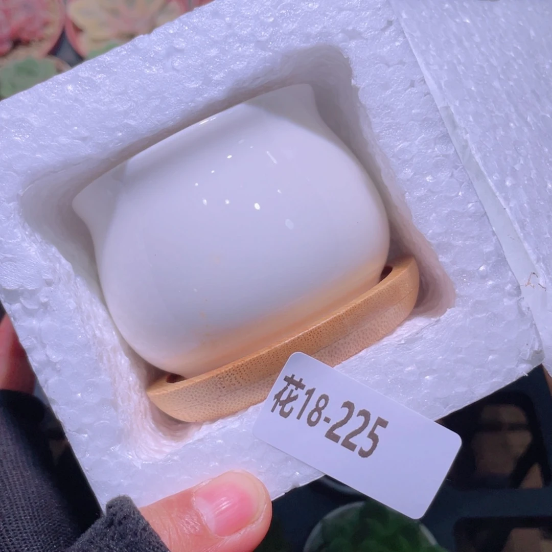 花利美18-225花盆一个多库存