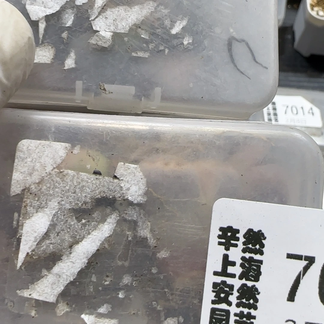 2。8。7015。饼干。补差。