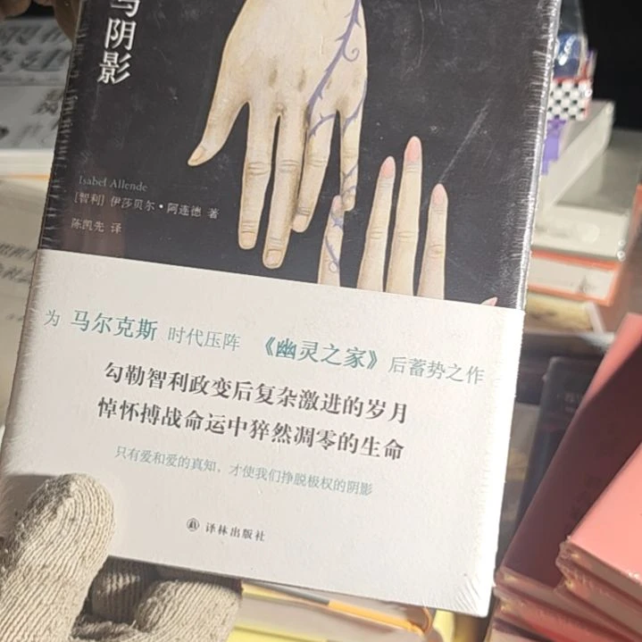 爱情与阴影精装塑封