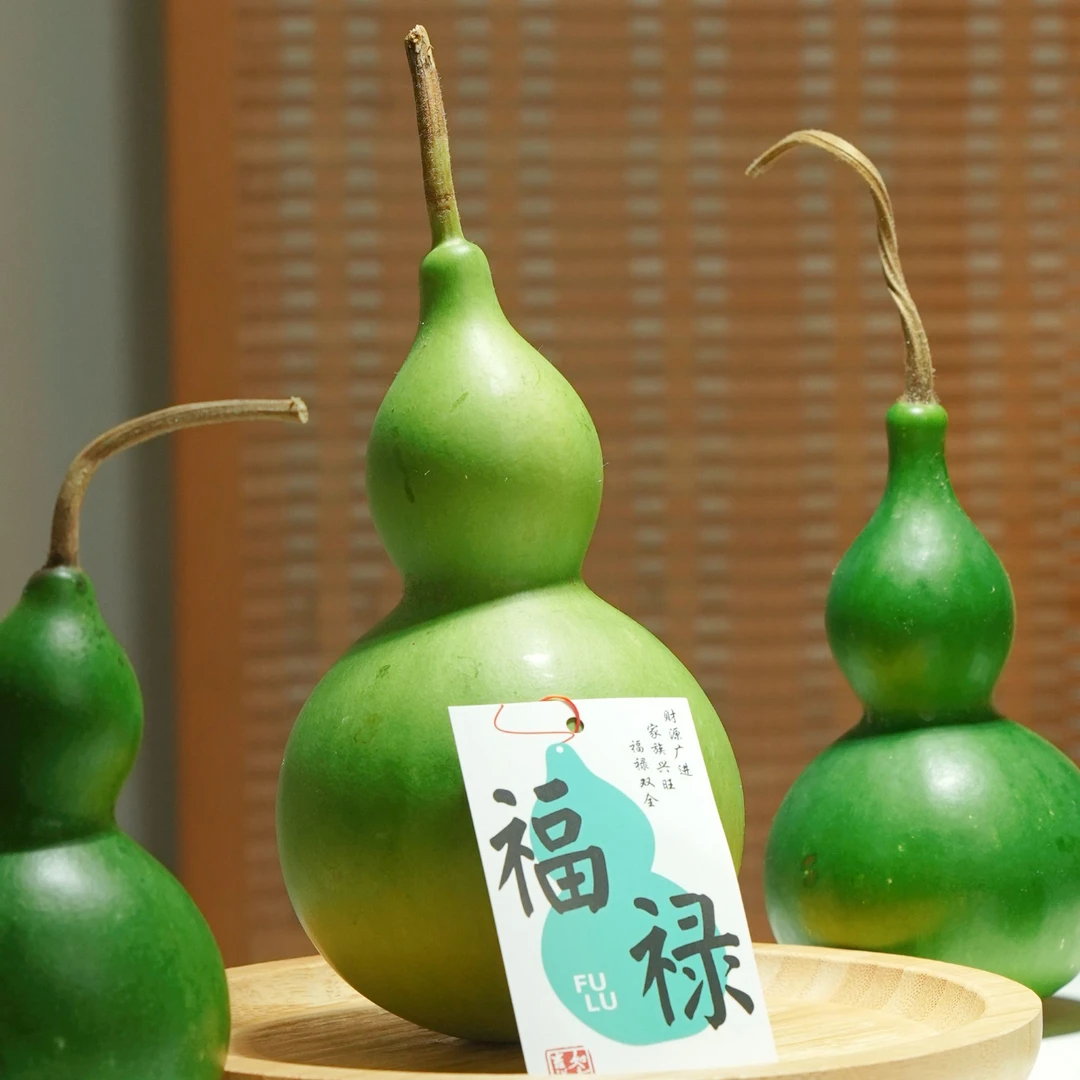 【云南新鲜绿宝石葫芦】中式绿植刮皮变黄新鲜葫芦葫芦摆件