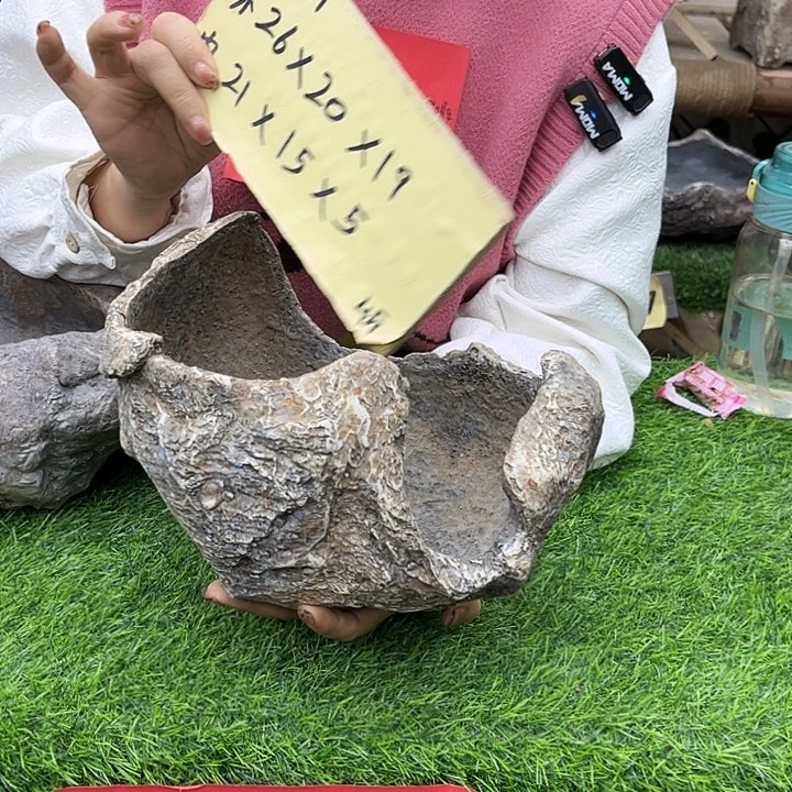 盆景异形花盆鱼缸p2-001