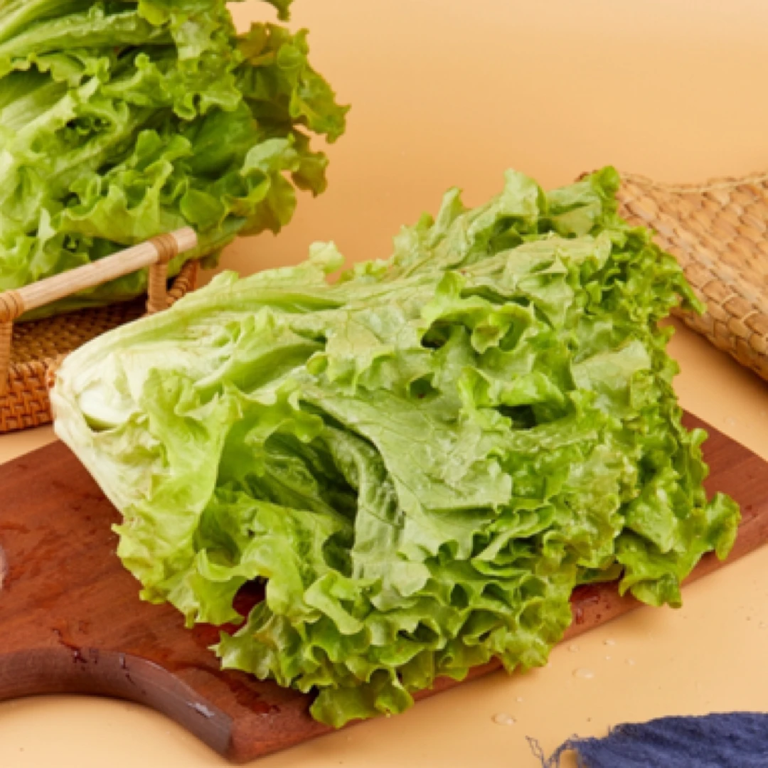 新鲜水培生菜 包烤肉蔬菜沙拉 二斤 现摘现发绿色蔬菜