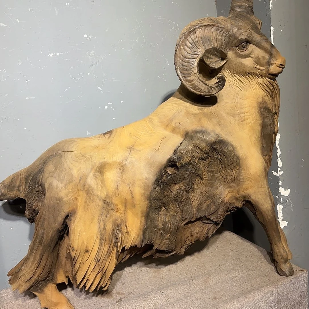 金丝楠金丝楠木领头羊