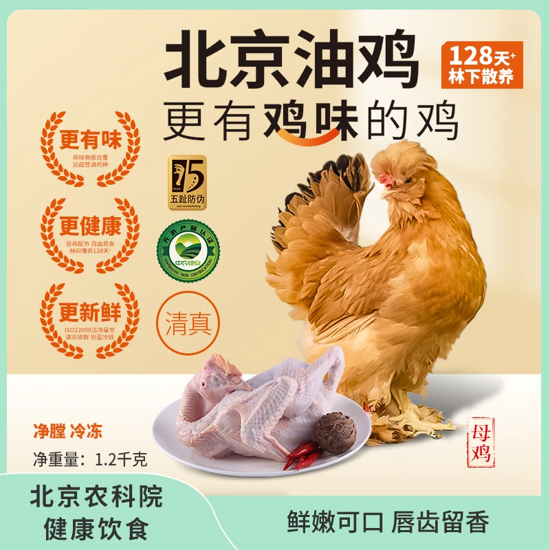 北京油鸡 林下散养128天+ 无抗清真 母鸡1.2kg 京东冷链 新鲜直达