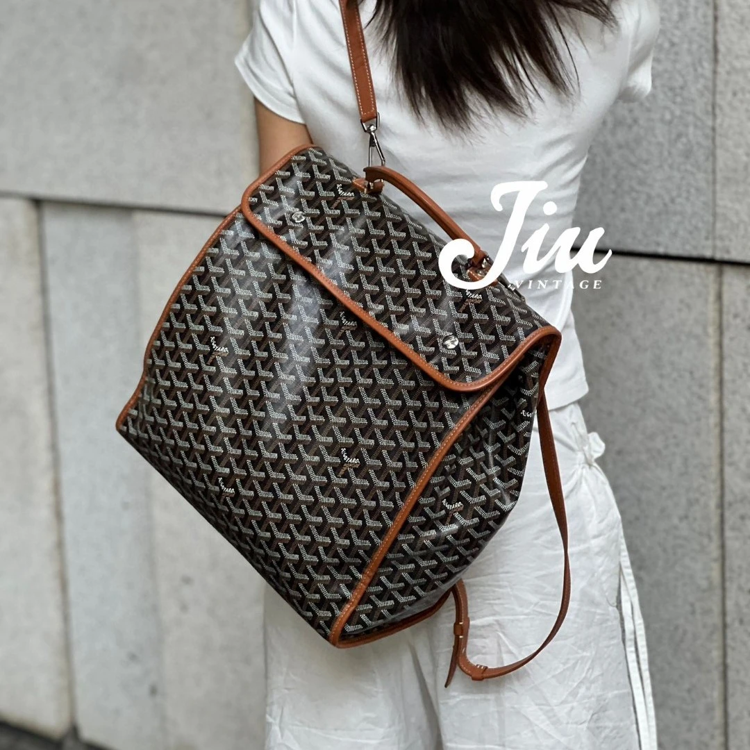 99新 Goyard 黑棕色双肩包21年CG14-0137