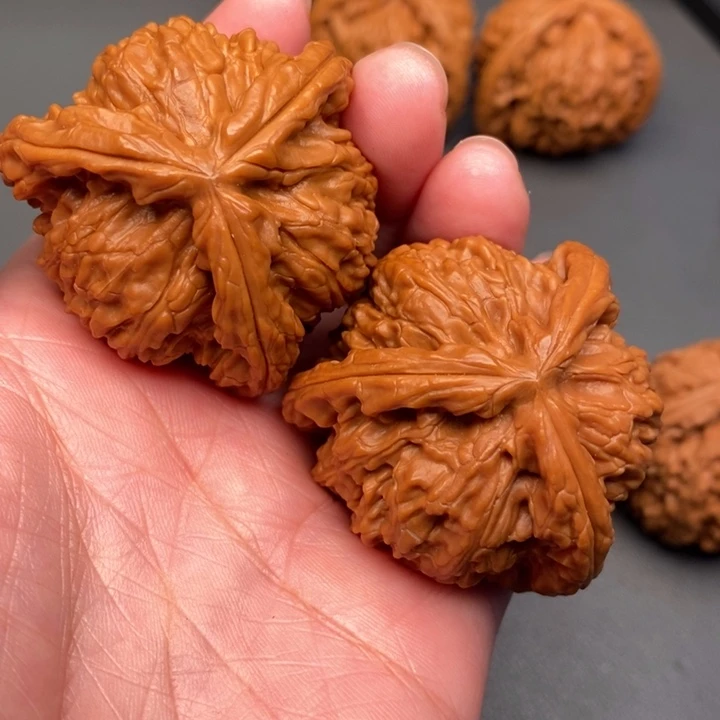 y***.木质类核桃核桃核桃