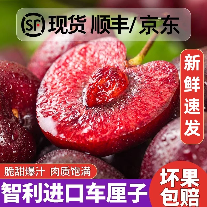 298智利进口车厘子 瑞吉娜5新鲜水果斤J~4J海运大樱桃 内附果径卡