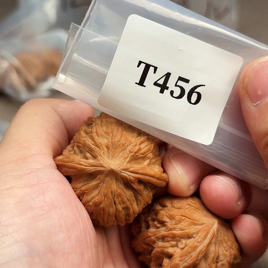 文玩核桃把件T456