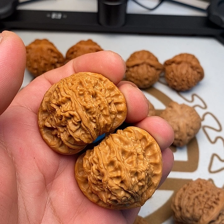 文玩核桃把件赢****r白狮子