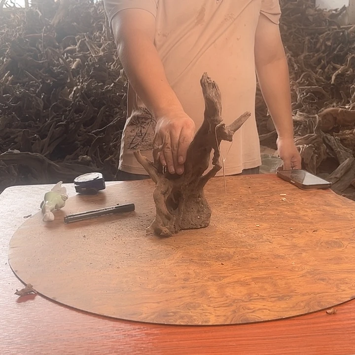 木鱼缸造景根雕摆件10