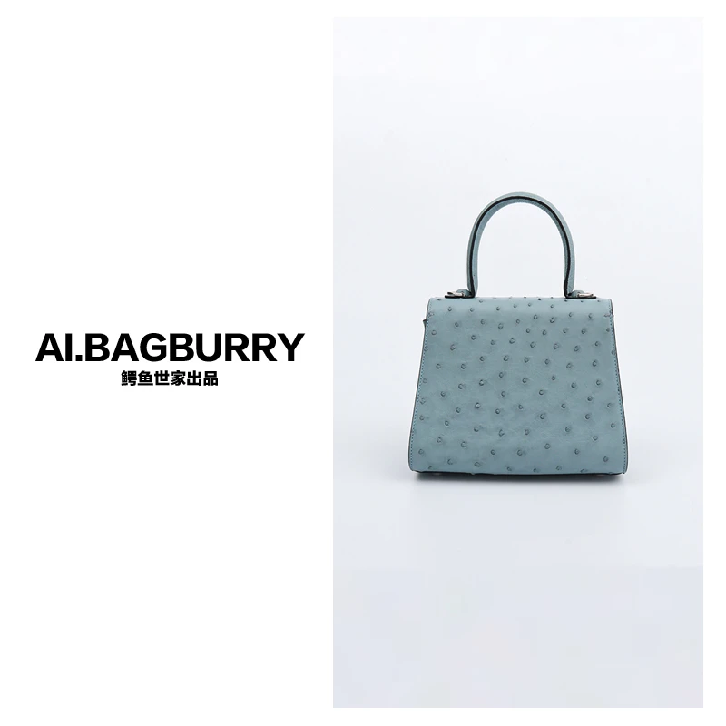 AI.BAGBURRY2024新款女士真皮休闲百搭时尚鸵鸟皮手提斜挎包