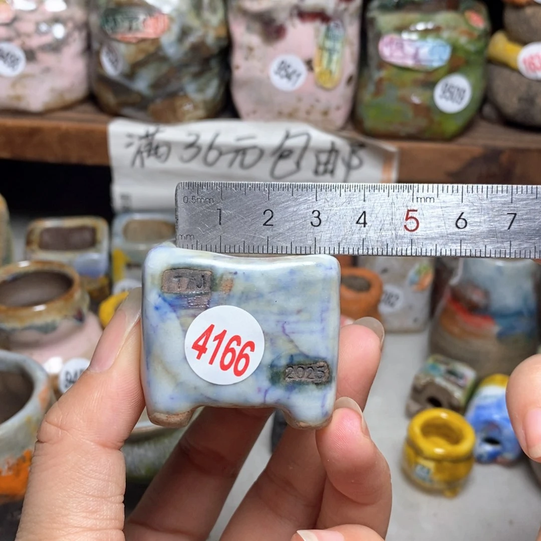 拍5送一个小礼物