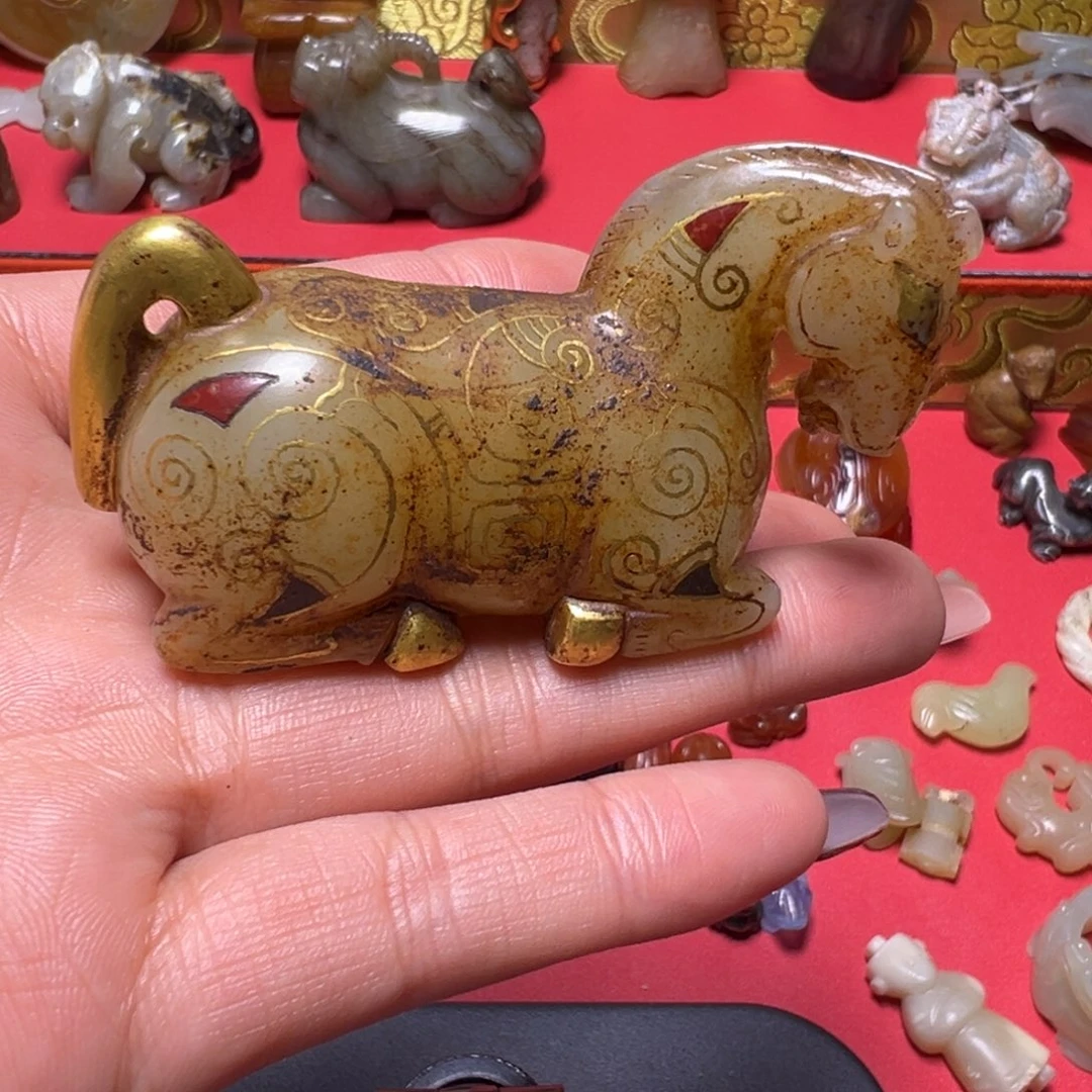 尽***康小动物…………………………