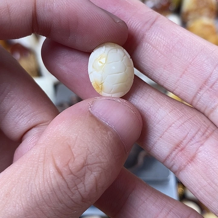 裸石琥珀未镶嵌我