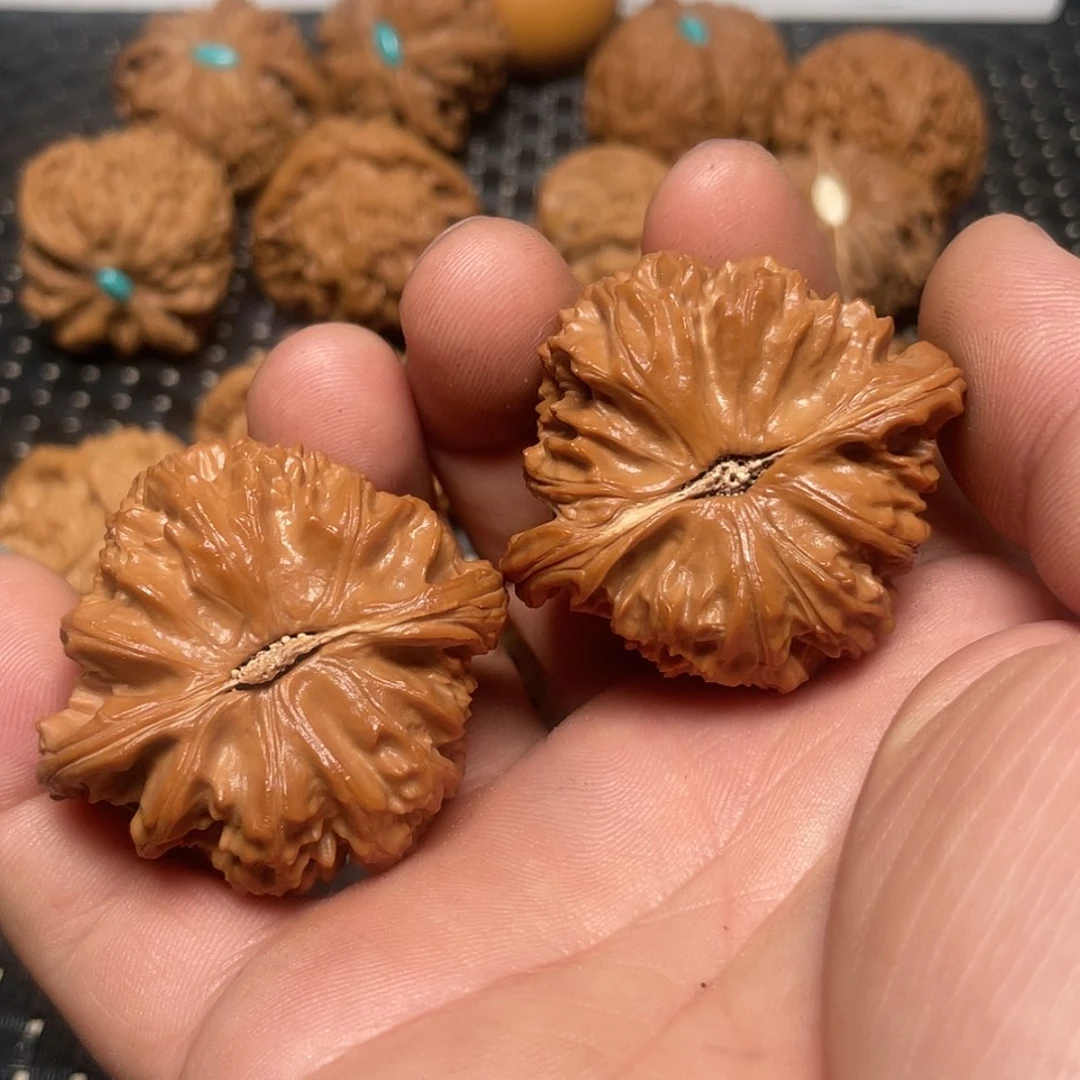 【闪购商品】文玩核桃把件一*43白狮子头