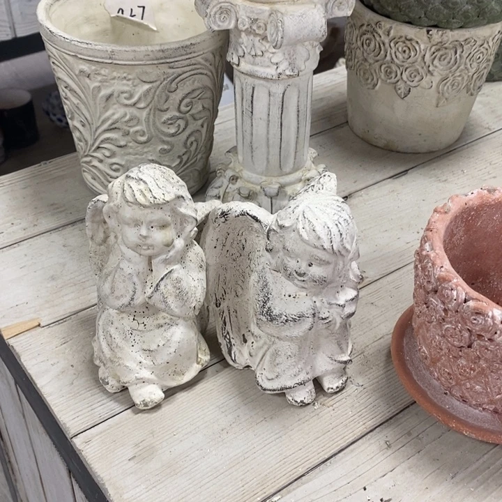 花盆5588888000000000000000